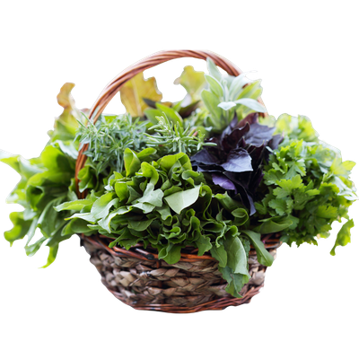 Herbes Fraîches